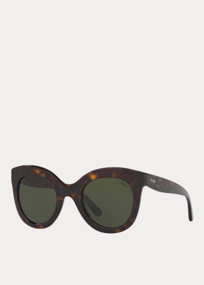 Women's Polo Ralph Lauren Butterfly Sunglasses | 164593QGZ